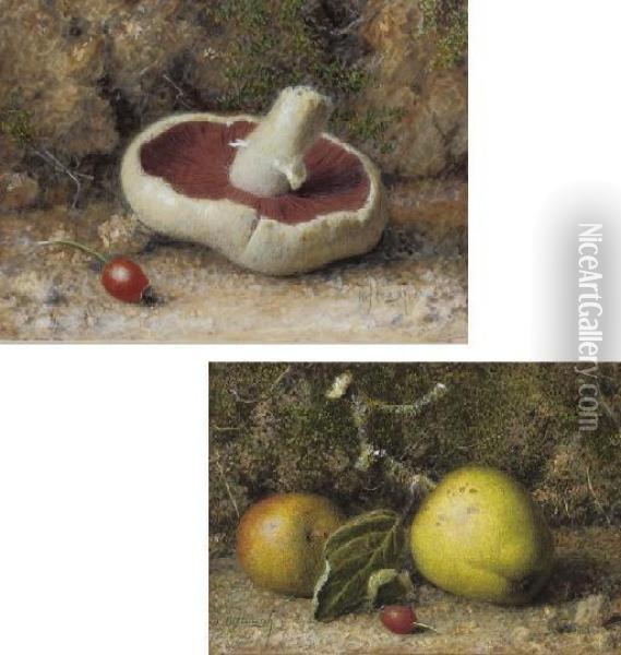 Apples And A Rosehip On A Mossy Bank; And A Mushroom And Rosehip Oil Painting - William B. Hough