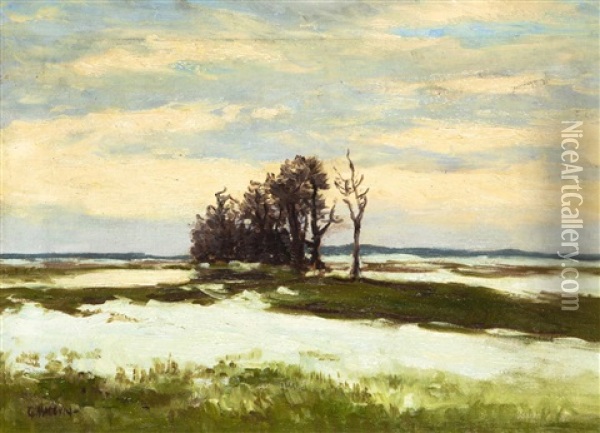 Vorfruhling Oil Painting - Gustav Macoun
