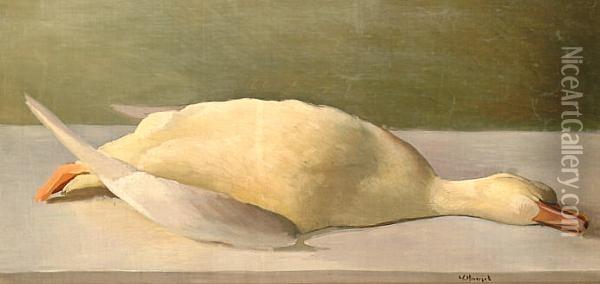 Still Life Of A Dead Duck Oil Painting - Willem Hamel