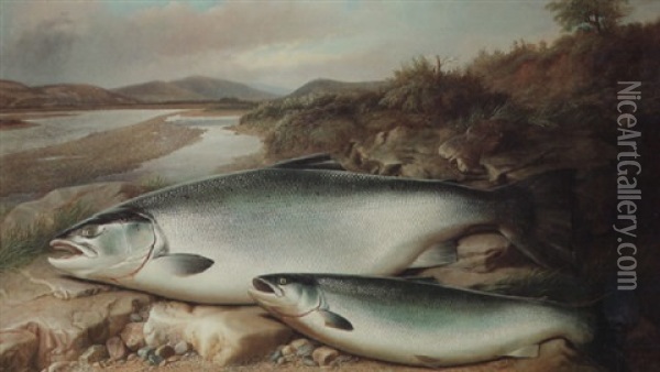 Salmon On A River Bank Oil Painting - John Bucknell Russell