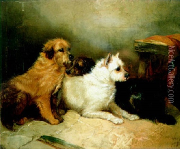 Terriers In An Interior Oil Painting - George Armfield