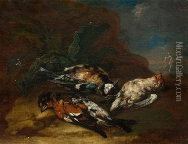 Jagdstillleben Mit Vogeln (pair) Oil Painting - Johann Georg de Hamilton