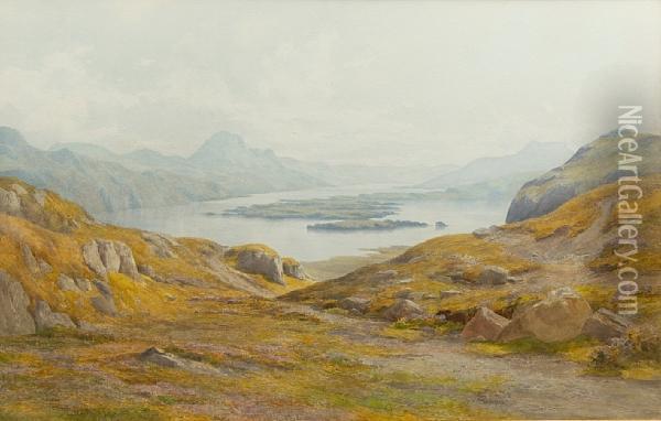 Loch Maree From Above Curree Bay Oil Painting - Percy Dixon