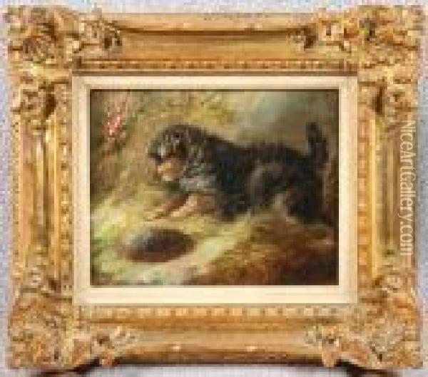 Terrier And Hedgehog Oil Painting - George Armfield
