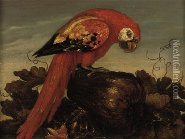 A Parrot Sitting On A Large Vegetable, Eyeing A Small Lizard In The Foreground Oil Painting - Abraham Bosschaert
