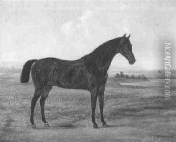 Das Pferd Grille Oil Painting - Johann Friedrich Wilhelm Wegener