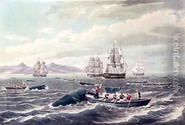 A Shoal of Sperm Whale Oil Painting - Thomas Birch