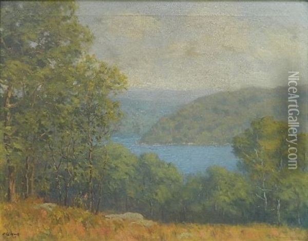 An Adirondack Lake Oil Painting - William R. C. Wood