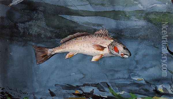 Channel Bass Oil Painting - Winslow Homer