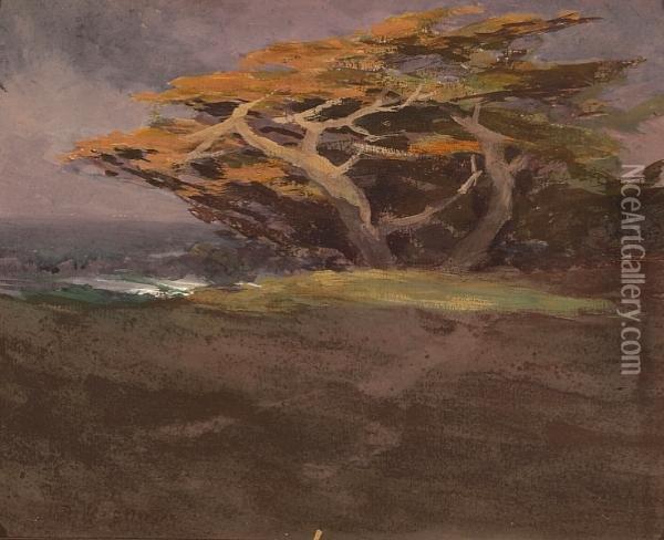 Windswept Monterey Cypress Oil Painting - Mary Deneale Morgan