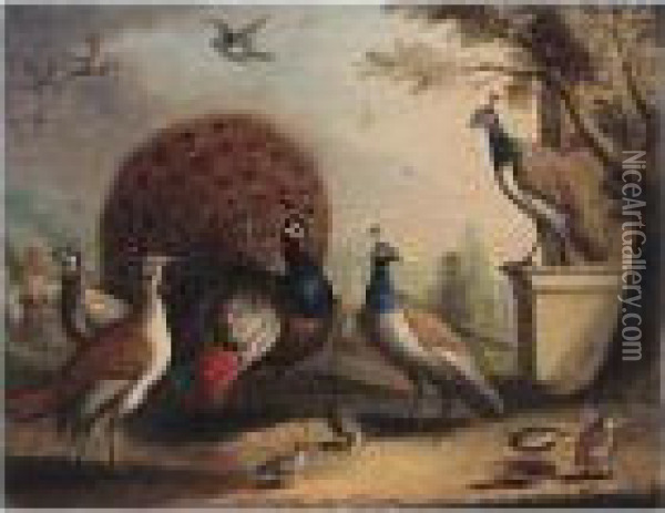 A Peacock And Peahens In An Ornamental Landscape Oil Painting - Pieter III Casteels