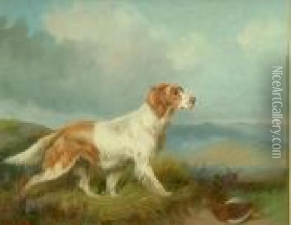 Brown And White Setter In A Highland Landscape Oil Painting - Colin Graeme Roe