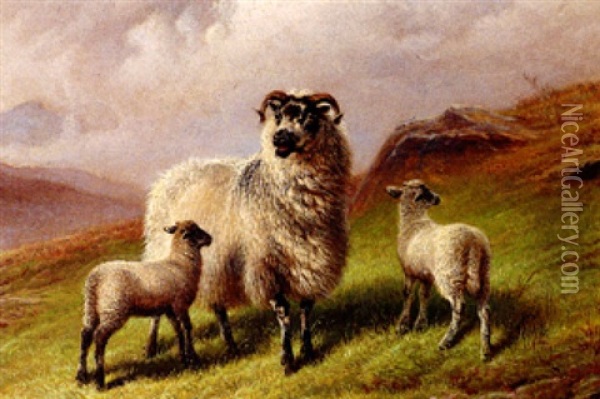Widder Mit Zwei Lammern In Schottischer Berglandschaft Oil Painting - Charles Jones