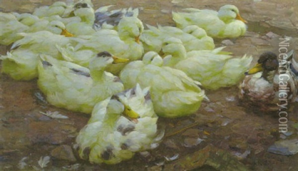 Zehn Weise Enten Auf Dem Wasser Oil Painting - Alexander Max Koester
