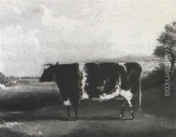 Prize Cow In A Landscape Oil Painting - William Henry Davis