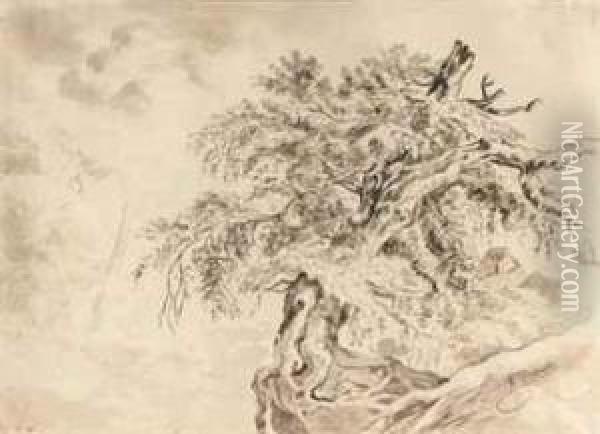 Study Of A Tree Oil Painting - Friedrich I Preller