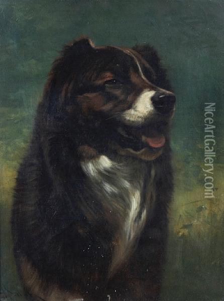 A Study Of A Dog Oil Painting - John Henry Dolph