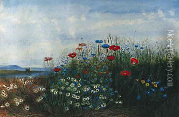 A coastal landscape with poppies, cornflowers, daisies and grasses in the foreground Oil Painting - Andrew Nicholl