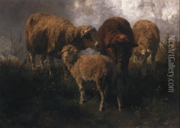 Vier Schafe Auf Der Weide Oil Painting - Anton Braith