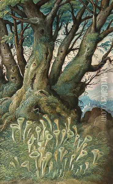 Cladonia pixidata (Lichen) and Carpinus betulus (Hornbeam) Oil Painting - Gherado Cibo