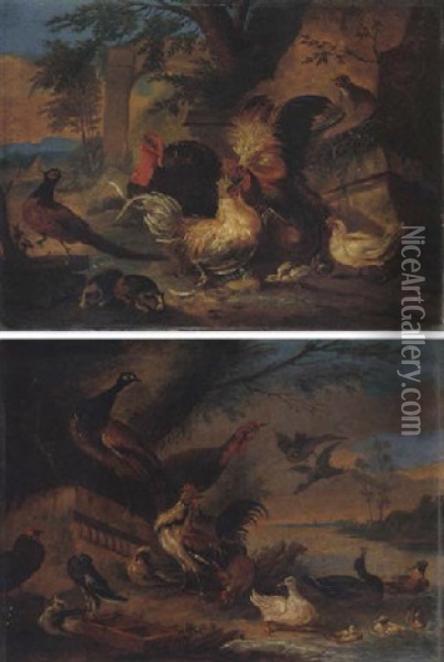 A Classical Landscape With Bantams Fighting, Together With A Turkey, A Pheasant And Guinea Pigs Oil Painting - Adriaen de Gryef