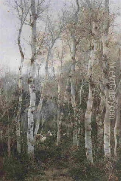 Boirch Forest Oil Painting - Emilio Sanchez-Perrier