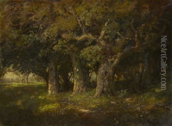 Study Of Oaks Oil Painting - William Keith