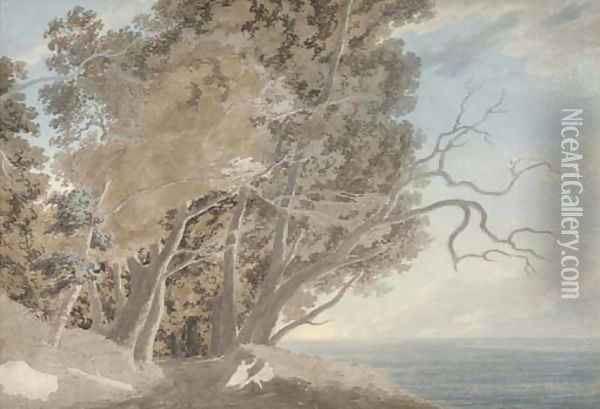 View on the Galleria di Sopra above Lake Albano Oil Painting - John Robert Cozens