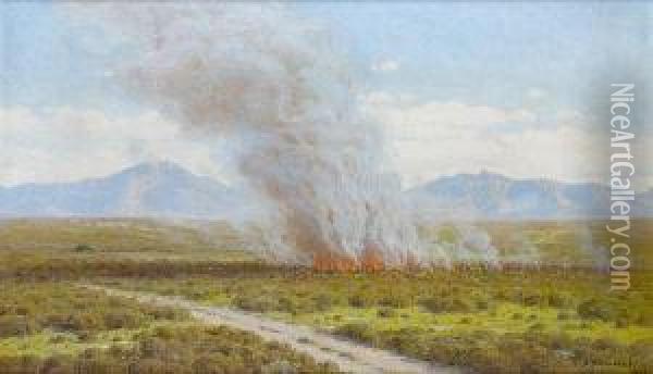 A Veld Fire, Riversdale Oil Painting - Jan Ernst Abraham Volschenk