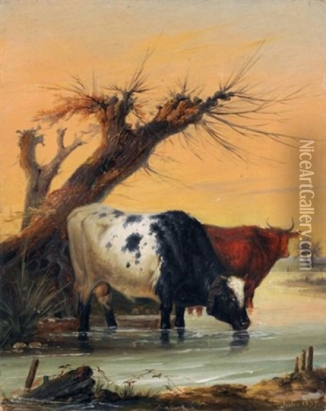 Zwei Kuhe In Der Furt Oil Painting - Anton Jahn
