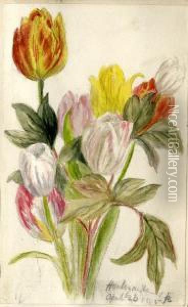 Botanical Oil Painting - Jane Sophia Robson
