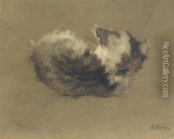 A Kitten Lying Down Viewed From The Back. Oil Painting - Otto Weber