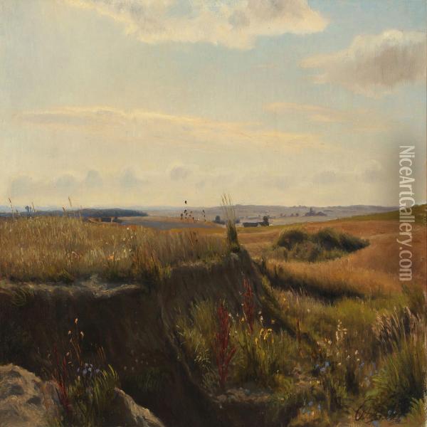 Heath Oil Painting - Otto Petersen Balle