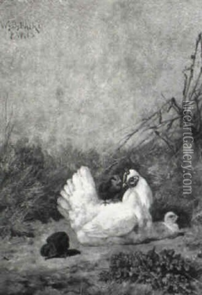 Mother Hen Tending Her New Chicks Oil Painting - William Baptiste Baird
