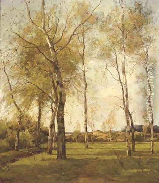 Schaapskooi - October birch trees by the dunes in autumn Oil Painting - Theophile Emile Achille De Bock