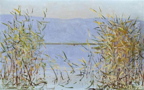 Lake With Reeds Oil Painting - William Rothlisberger