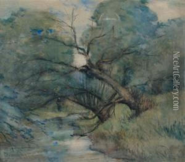 Old Willows Oil Painting - Charles Austin Needham