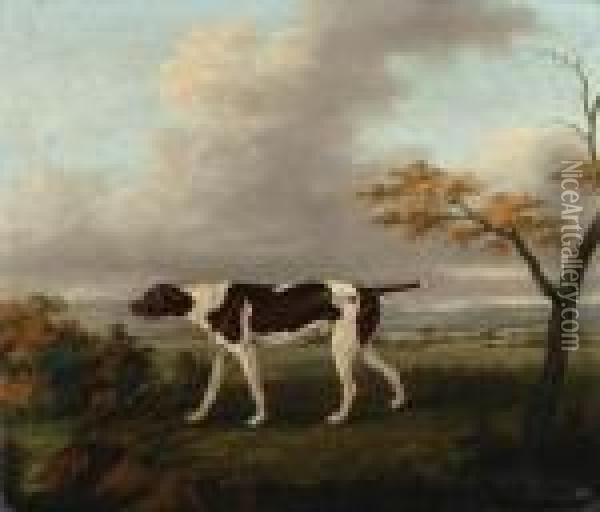 A Pointer With A Hare In An Extensive Landscape Oil Painting - John Nost Sartorius