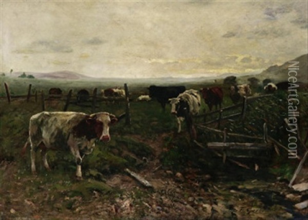 Heimtrieb. Kuhe Auf Der Weide Bei Sonnenuntergang Oil Painting - Fritz Grebe