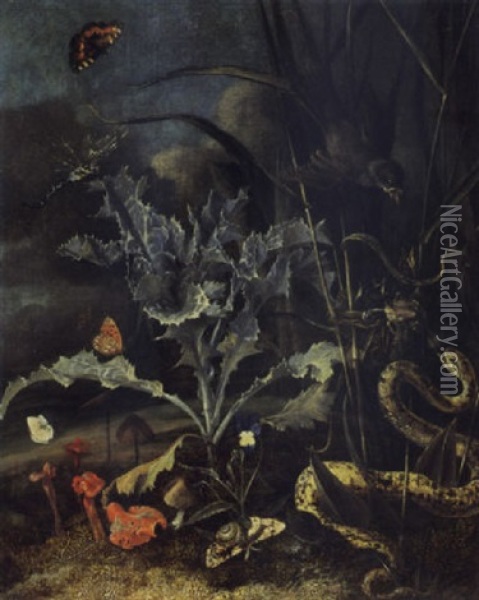 A Forest Floor Still Life With A Milk Thistle, Mushrooms, A Wood Snail, A Blue, A Queen Of Spain Fritillary, An Emperor Moth......... Oil Painting - Otto Marseus van Schrieck