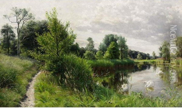 A Summer Landscape With Swans On A Lake Oil Painting - Peder Mork Monsted