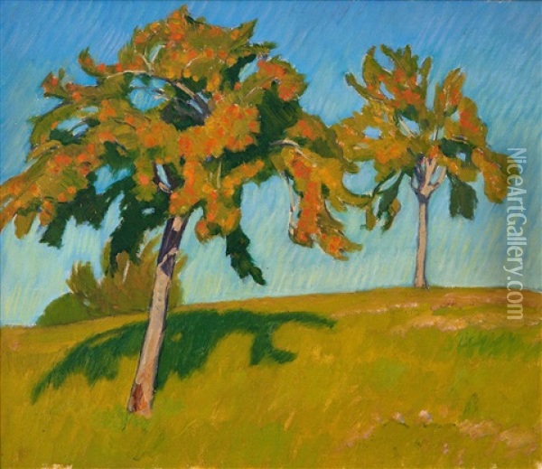 Obstbaume - Schlagschatten Auf Wiese Oil Painting - Franz Jakob Elmiger