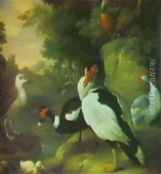 Partidges, Muskovy Ducks, A Juvenile Herring Gull And Other Birds In A Landscape Oil Painting - Jakob Bogdani