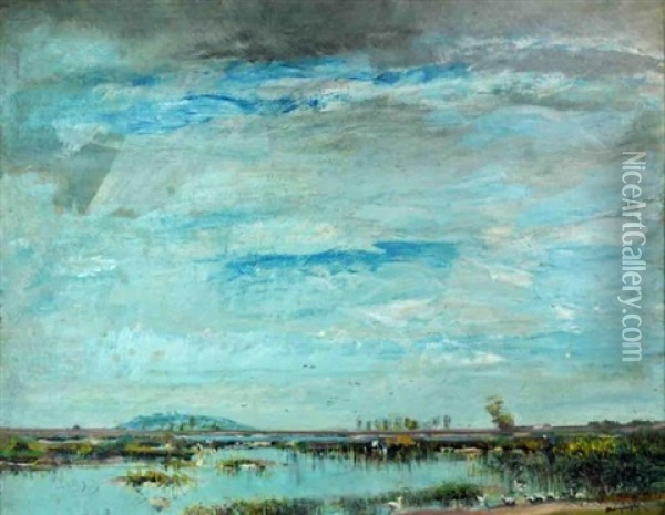 A View Across The Marsh Oil Painting - Laszlo Mednyanszky