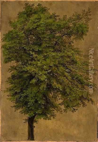 Young Oak Tree Oil Painting - Karl Blechen
