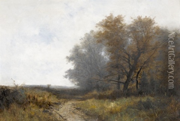 Feldweg In Baumbestandener Landschaft Oil Painting - Gustave Eugene Castan