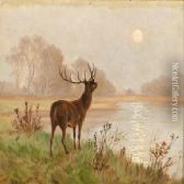 A Deer Caught In The Morning Light Oil Painting - Poul Steffensen