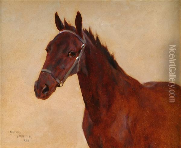 Study Of A Horse Oil Painting - Arthur Wardle