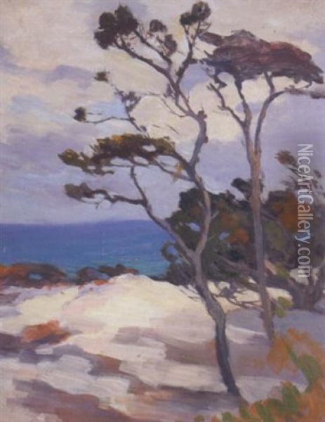 Gray Day, Sand Dune (no.50) Oil Painting - Mary Deneale Morgan