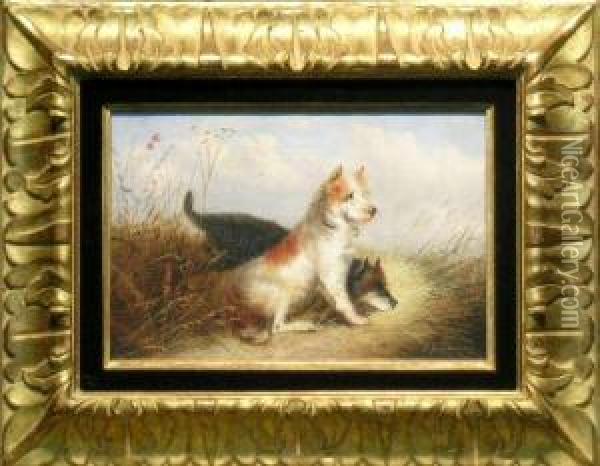 Terriers In A Landscape Oil Painting - Louis Timmermans